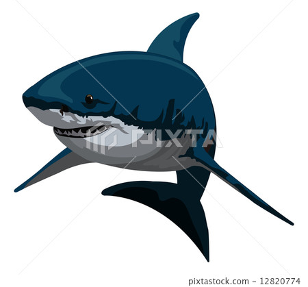 Shark, illustration Shark, illustration 12820774