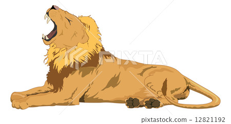 Lion, illustration Lion, illustration 12821192