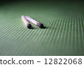 Burnt matchstick on a green fabric 12822068