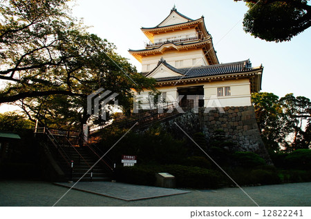 Kanagawa Prefecture Odawara Castle Honmaru castor tokyo August 2014 12822241