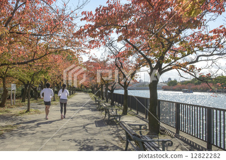 Sakuranomiya Park in autumn Sakuranomiya Park in autumn 12822282
