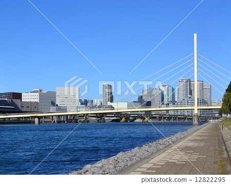 Seagull Bridge 4 Seagull Bridge 4 12822295