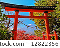 Torii at Asama Shrine and Mt. Fuji 12822356