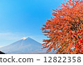 Autumn leaves Fuji 12822358