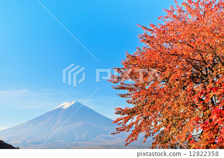 Autumn leaves Fuji 12822358