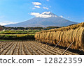 Fall of autumn and Mt. Fuji 12822359