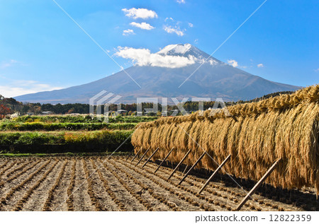 秋天的秋天和富士山 12822359