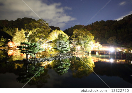 白水Amidado 12822730