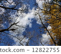 autumn sky  12822755