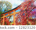 平野神社牌坊繪畫風格 12823120