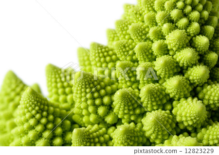 Romanesco broccoli Romanesco broccoli 12823229