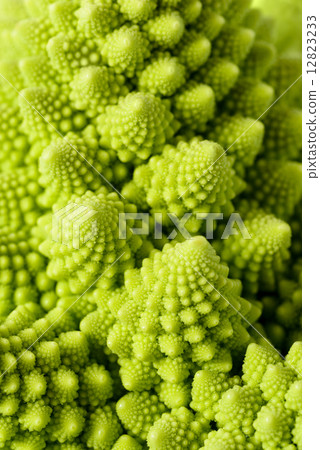 Romanesco broccoli Romanesco broccoli 12823233