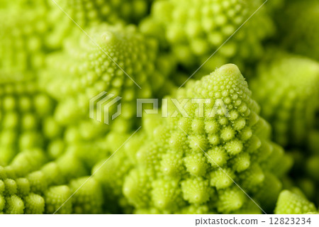 Romanesco broccoli 12823234