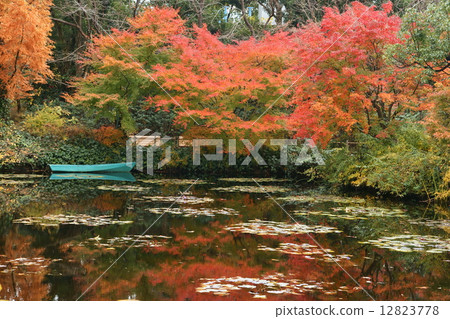 Autumn leaves and boats on the surface of the water 12823778