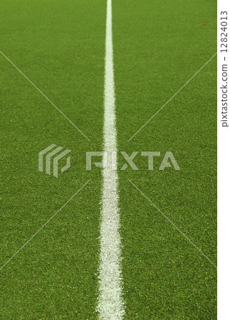 Soccer field grass on the green Soccer field grass on the green 12824013