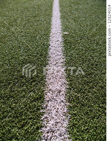 Soccer field grass on the green Soccer field grass on the green 12824014