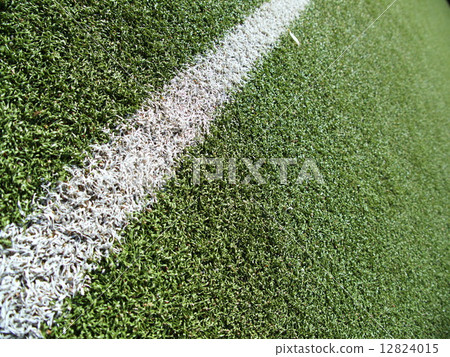 Soccer field grass on the green Soccer field grass on the green 12824015