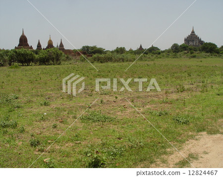 Pagoda group forested in the plain (Bagan / Myanmar) 12824467