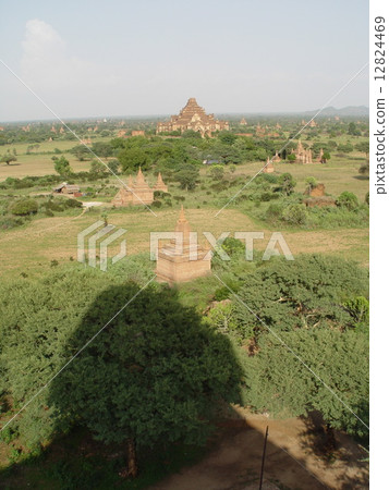Pagoda group forested in the plain (Bagan / Myanmar) 12824469