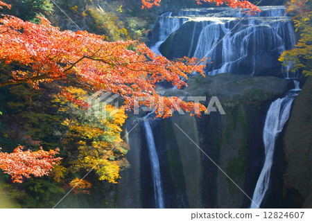 Ibaraki prefecture designated scenic name Fukuroda Falls ~ Late Autumn 's ~ Ibaraki prefecture designated scenic name Fukuroda Falls ~ Late Autumn 's ~ 12824607