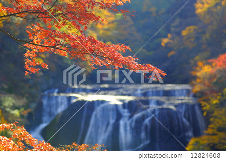 Ibaraki prefecture designated scenic name Fukuroda Falls ~ Late Autumn 's ~ 12824608