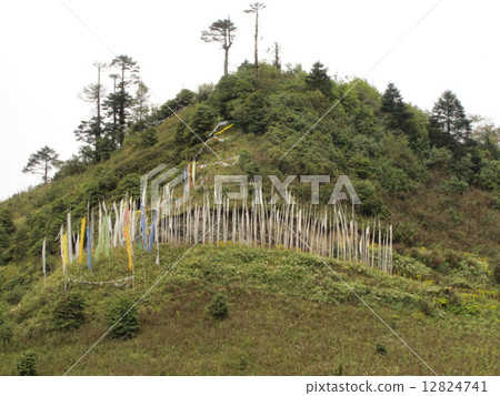 Darusin of Pele Pass 12824741