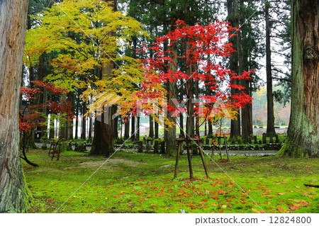 Uno Yu~晚秋〜 12824800