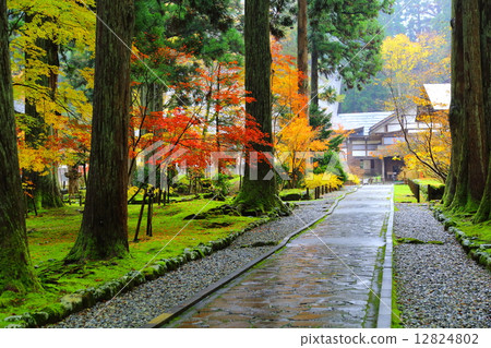 Uno Yu ~ Late Autumn ~ 12824802
