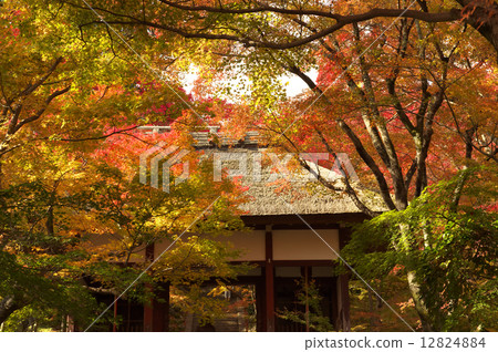 Arashiyama Ranjikoji Arashiyama Ranjikoji 12824884