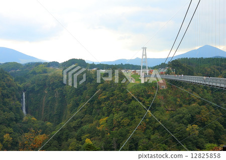 Kokonoe "Yume" Suspension Bridge Autumn leaves Kokonoe "Yume" Suspension Bridge Autumn leaves 12825858