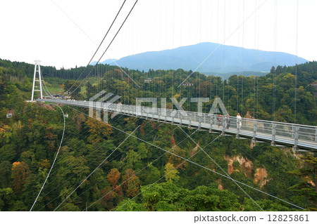 Kokonoe "Yume" Suspension Bridge Autumn leaves 12825861