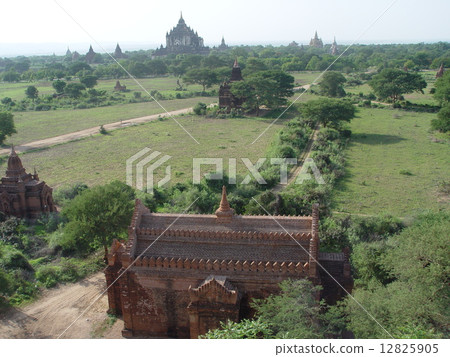 Pagoda group forested in the plain (Bagan / Myanmar) Pagoda group forested in the plain (Bagan / Myanmar) 12825905