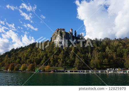 Bled Castle Bled Castle 12825970