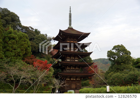 Autumn leaves and Rurikoji 5-storied pagoda 12826570