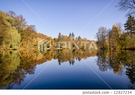 panorama of autumn trees at a glassy lake 12827234