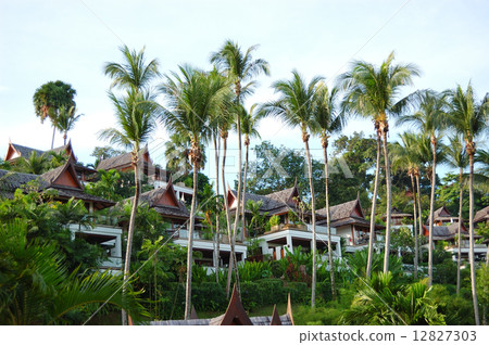 Luxury villas of Thai style hotel, Phuket, Thailand Luxury villas of Thai style hotel, Phuket, Thailand 12827303