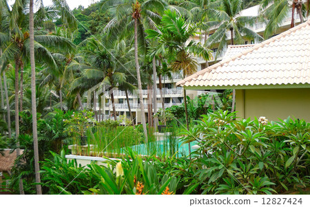 Swimming pool at the luxury villa, Phuket, Thailand 12827424