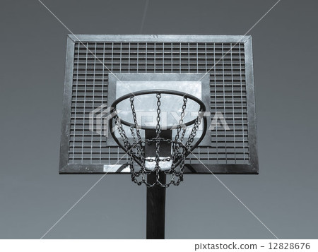 Basket 12828676