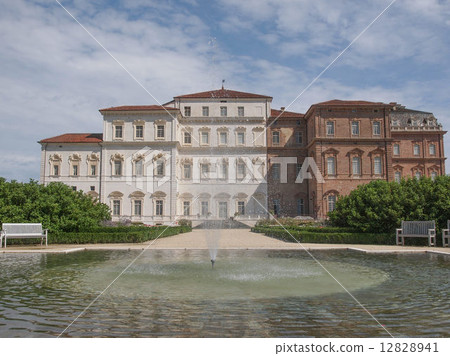 Reggia di Venaria Reggia di Venaria 12828941