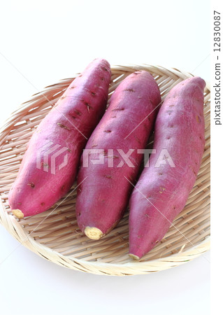 金和土豆 金和土豆 12830087