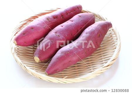 Kim and the potato 12830088