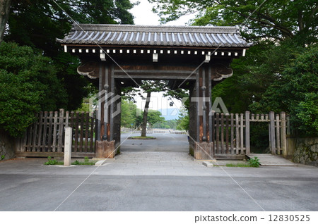 Clam Gomon (Kyoto Gyoen / Karasuma Dori, Choja Machigami, Kamigyo-ku, Kyoto) Clam Gomon (Kyoto Gyoen / Karasuma Dori, Choja Machigami, Kamigyo-ku, Kyoto) 12830525