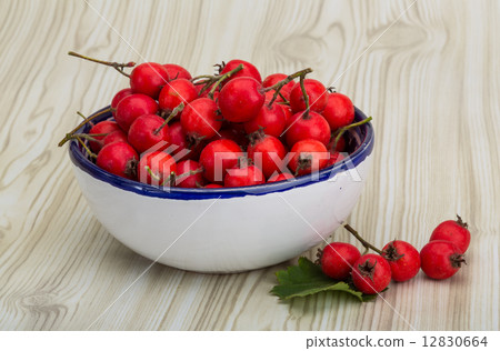Hawthorn Hawthorn 12830664