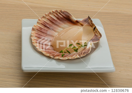 Raw scallops 12830676