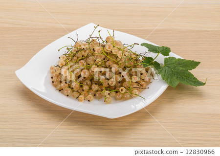 White currant 12830966