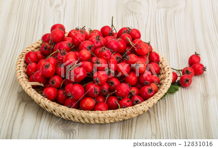 Hawthorn Hawthorn 12831016