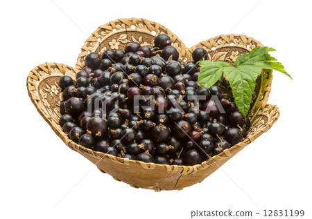 Black currant Black currant 12831199