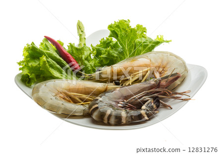 King and waterleg shrimps King and waterleg shrimps 12831276