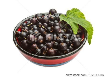 Black currant 12831407
