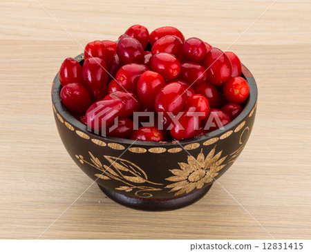 Cornus Cornus 12831415